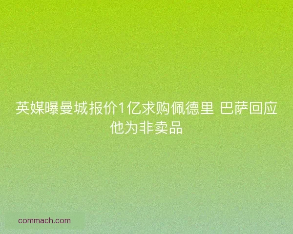 英媒曝曼城报价1亿求购佩德里 巴萨回应他为非卖品