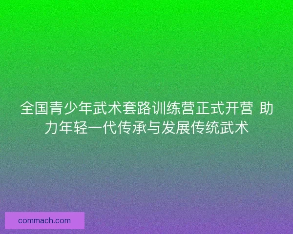 全国青少年武术套路训练营正式开营 助力年轻一代传承与发展传统武术