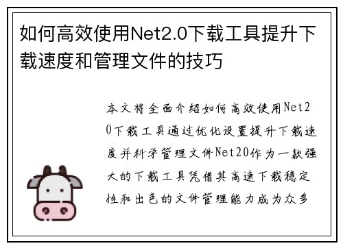 如何高效使用Net2.0下载工具提升下载速度和管理文件的技巧